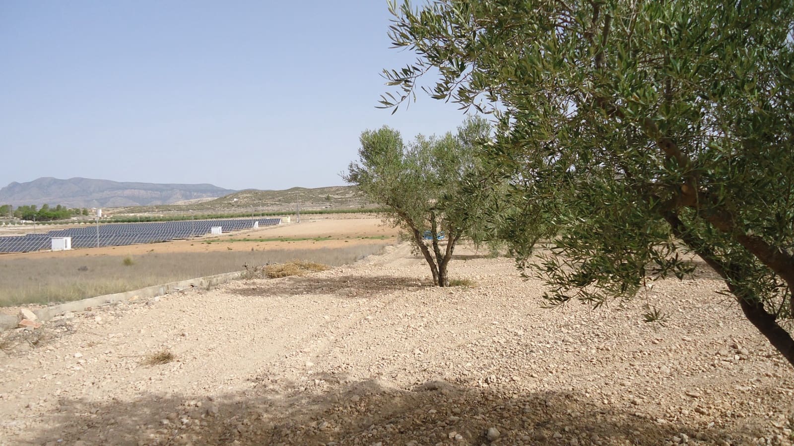 Undeveloped Land for sale in Jumilla - € 139,900 (Ref: 9687225)
