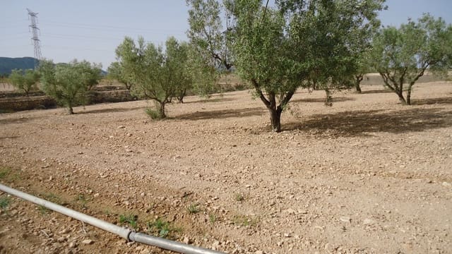 Undeveloped Land for sale in Jumilla - € 139,900 (Ref: 9687225)