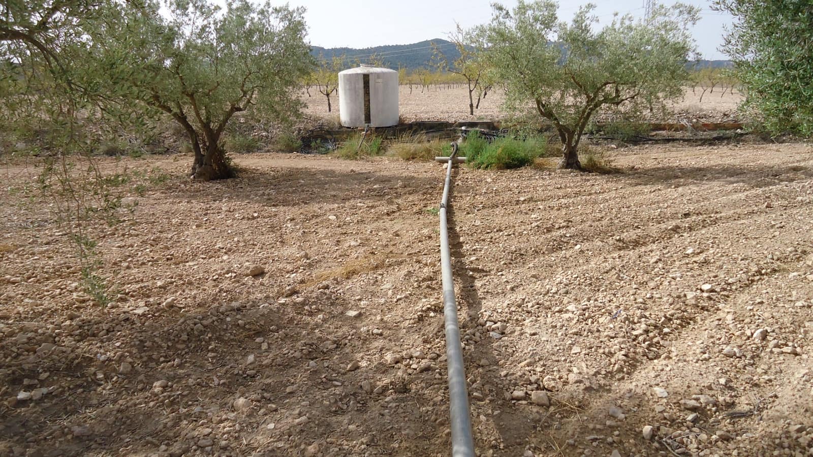 Undeveloped Land for sale in Jumilla - € 139,900 (Ref: 9687225)