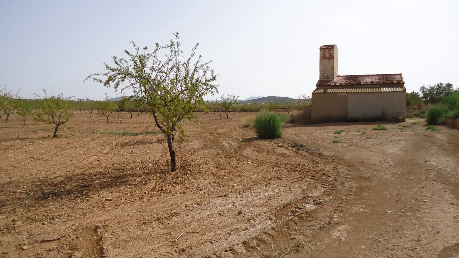 Undeveloped Land for sale in Jumilla - € 139,900 (Ref: 9687225)