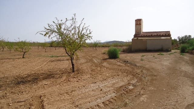 Undeveloped Land for sale in Jumilla - € 139,900 (Ref: 9687225)
