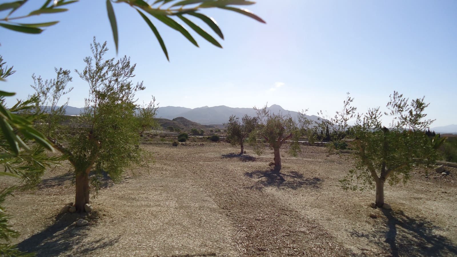 Terreno Non Edificato in vendita in Abanilla - 82.995 € (Rif: 9687227)