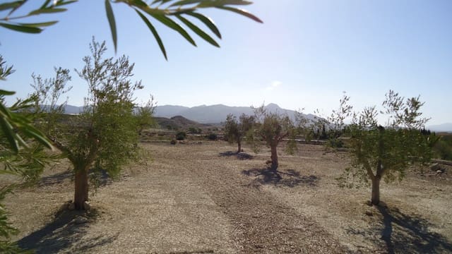 Terreno Non Edificato in vendita in Abanilla - 82.995 € (Rif: 9687227)