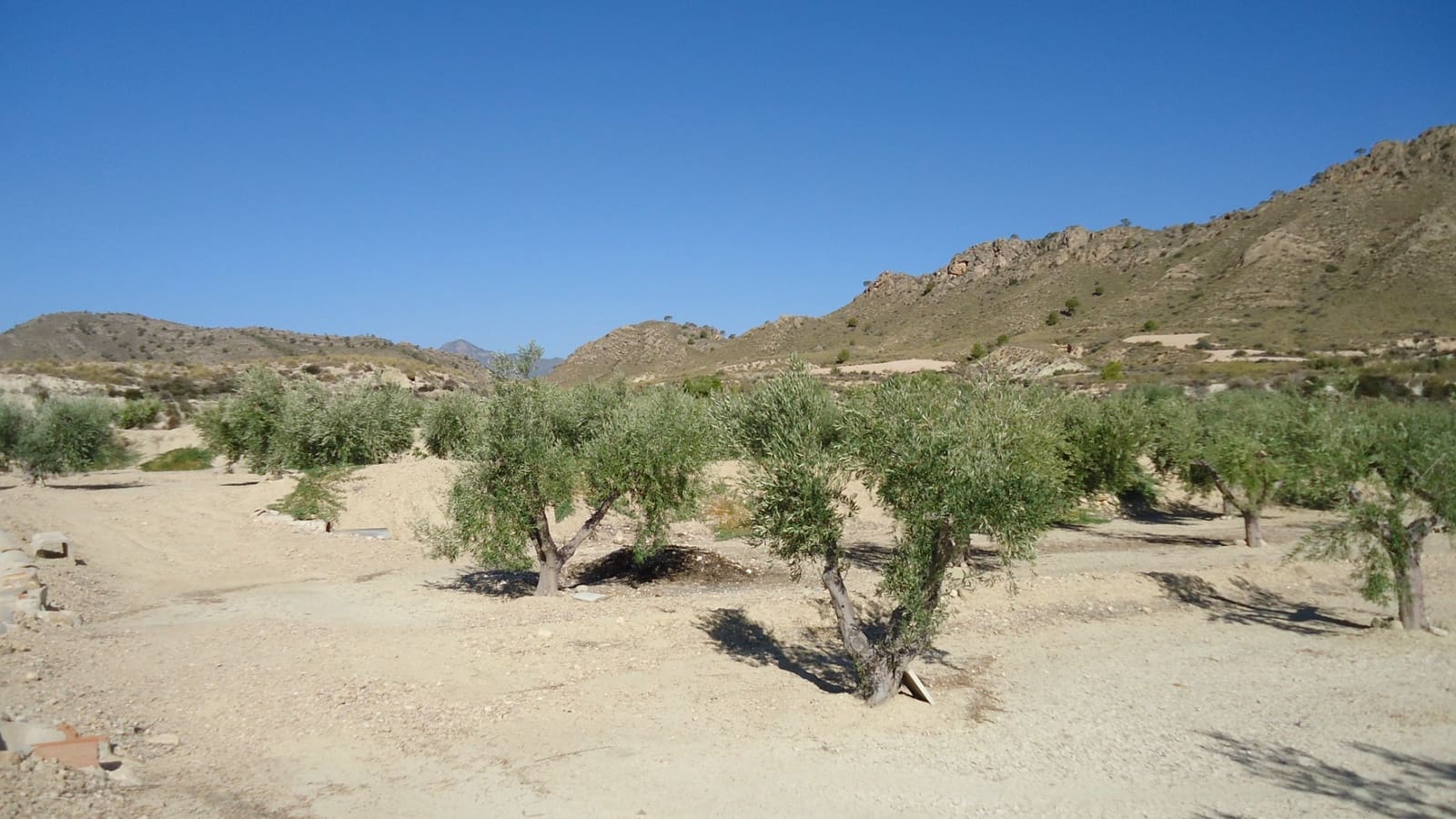 Terreno Non Edificato in vendita in Abanilla - 82.995 € (Rif: 9687227)