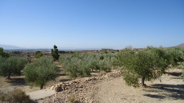 Terreno Non Edificato in vendita in Abanilla - 82.995 € (Rif: 9687227)