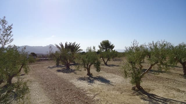 Terreno Non Edificato in vendita in Abanilla - 82.995 € (Rif: 9687227)