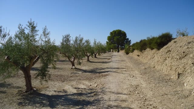 Terreno Non Edificato in vendita in Abanilla - 82.995 € (Rif: 9687227)