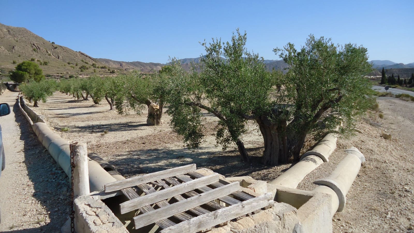 Terreno Non Edificato in vendita in Abanilla - 82.995 € (Rif: 9687227)