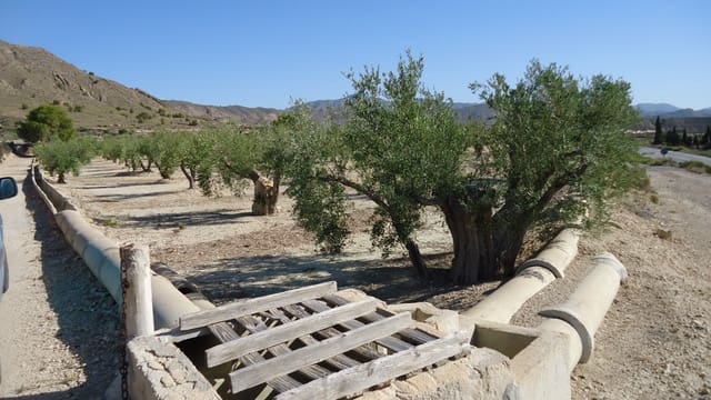 Terreno Non Edificato in vendita in Abanilla - 82.995 € (Rif: 9687227)