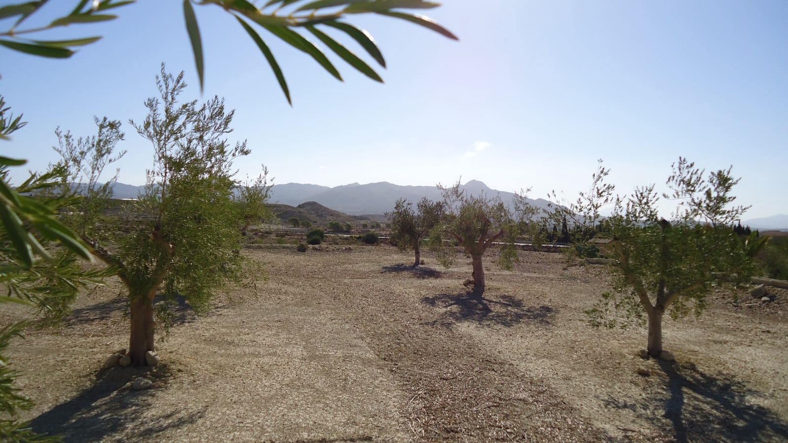 Terreno Non Edificato in vendita in Abanilla - 82.995 € (Rif: 9687227)