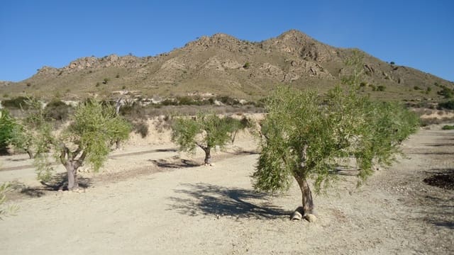 Terreno Non Edificato in vendita in Abanilla - 82.995 € (Rif: 9687227)