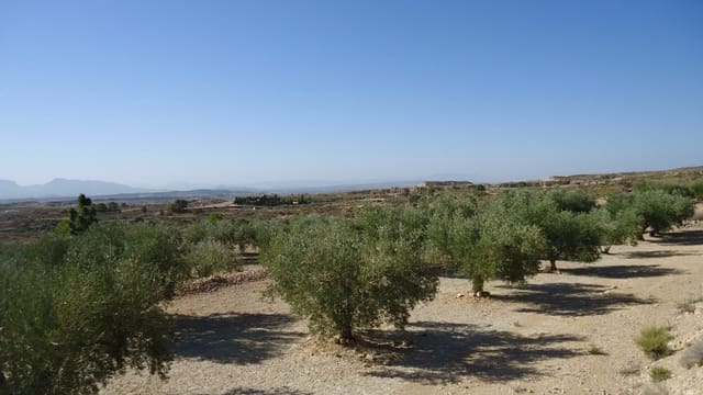 Terreno Non Edificato in vendita in Abanilla - 82.995 € (Rif: 9687227)