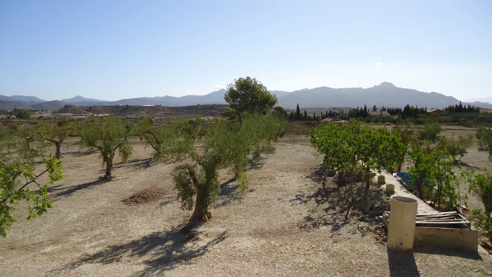 Terreno Non Edificato in vendita in Abanilla - 82.995 € (Rif: 9687227)