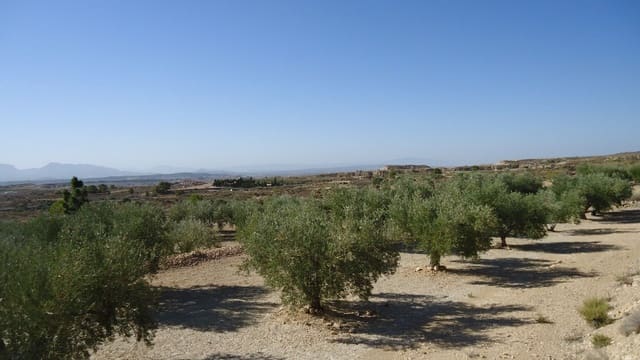 Mark till salu i Abanilla - 82 995 € (Ref: 9687227)
