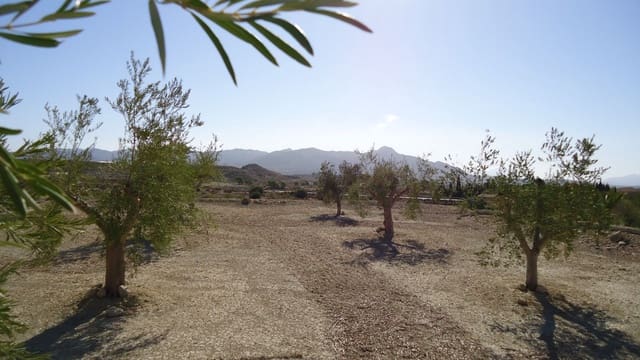 Mark till salu i Abanilla - 82 995 € (Ref: 9687227)