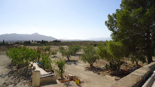 Mark till salu i Abanilla - 82 995 € (Ref: 9687227)