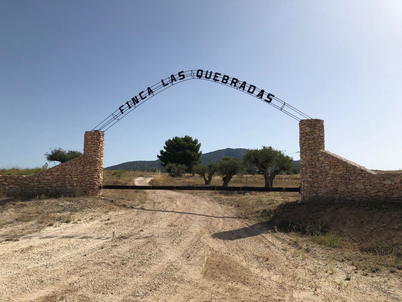 Terre non Aménagée à vendre à Yecla - 623 000 € (Ref: 9687229)