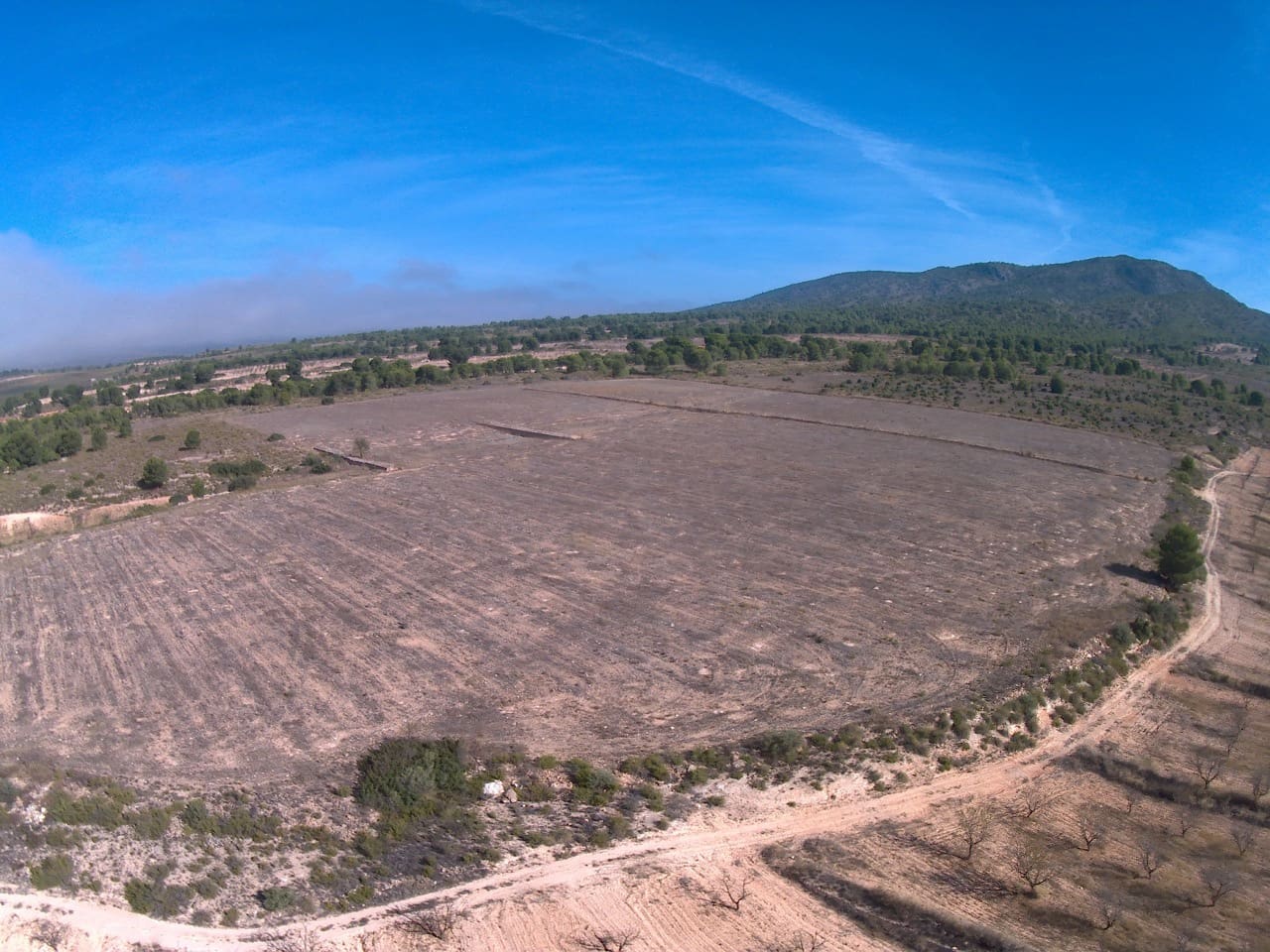Terre non Aménagée à vendre à Yecla - 623 000 € (Ref: 9687229)