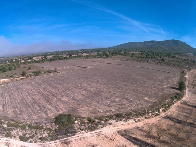 Terre non Aménagée à vendre à Yecla - 623 000 € (Ref: 9687229)