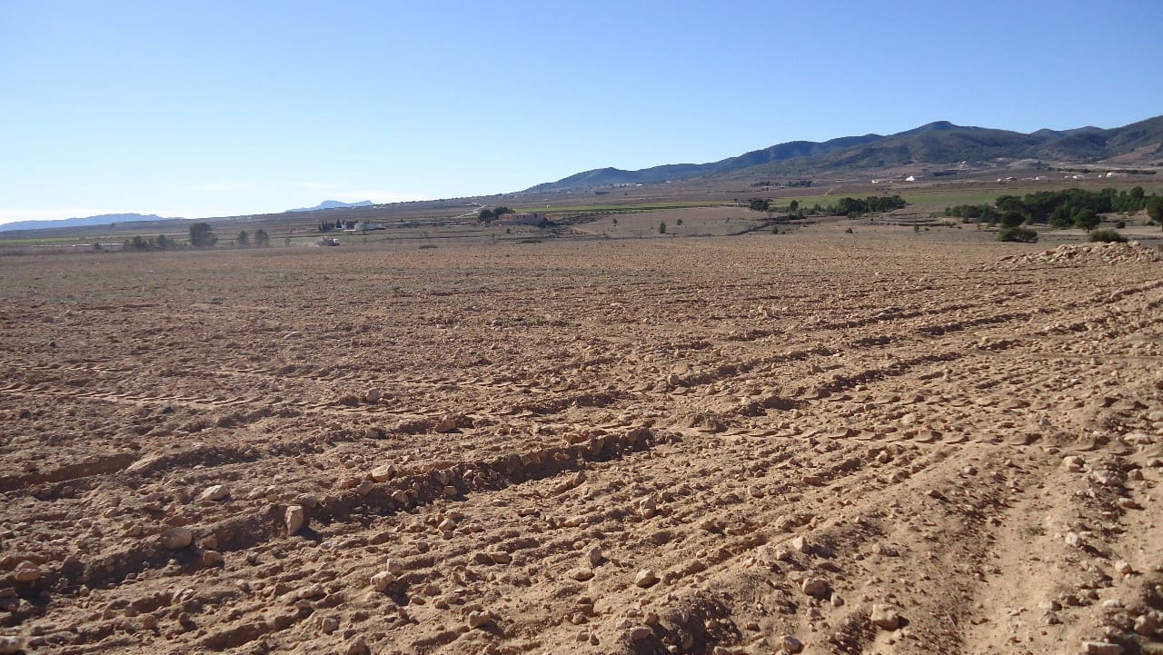 Terre non Aménagée à vendre à Yecla - 623 000 € (Ref: 9687229)