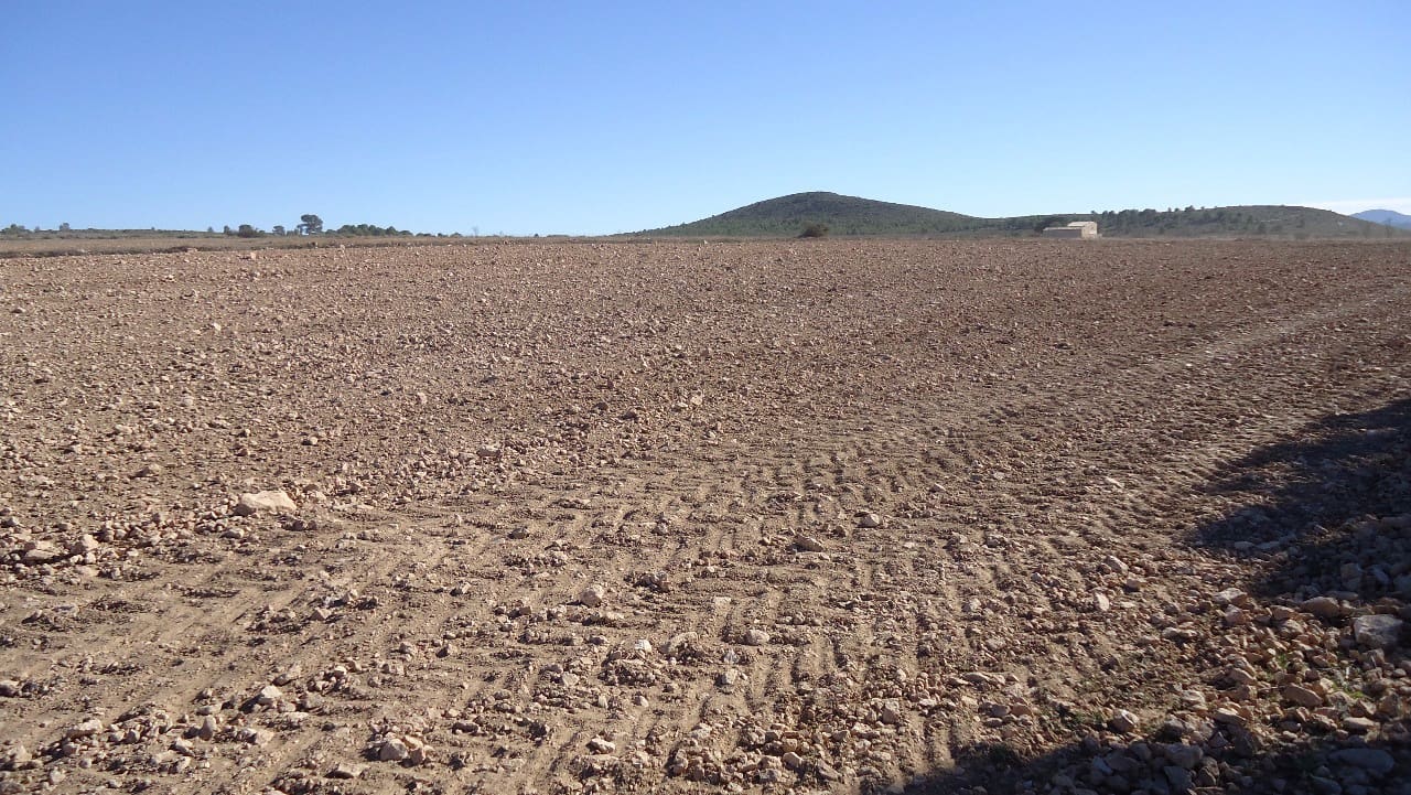 Terre non Aménagée à vendre à Yecla - 623 000 € (Ref: 9687229)