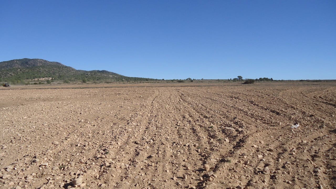 Terre non Aménagée à vendre à Yecla - 623 000 € (Ref: 9687229)