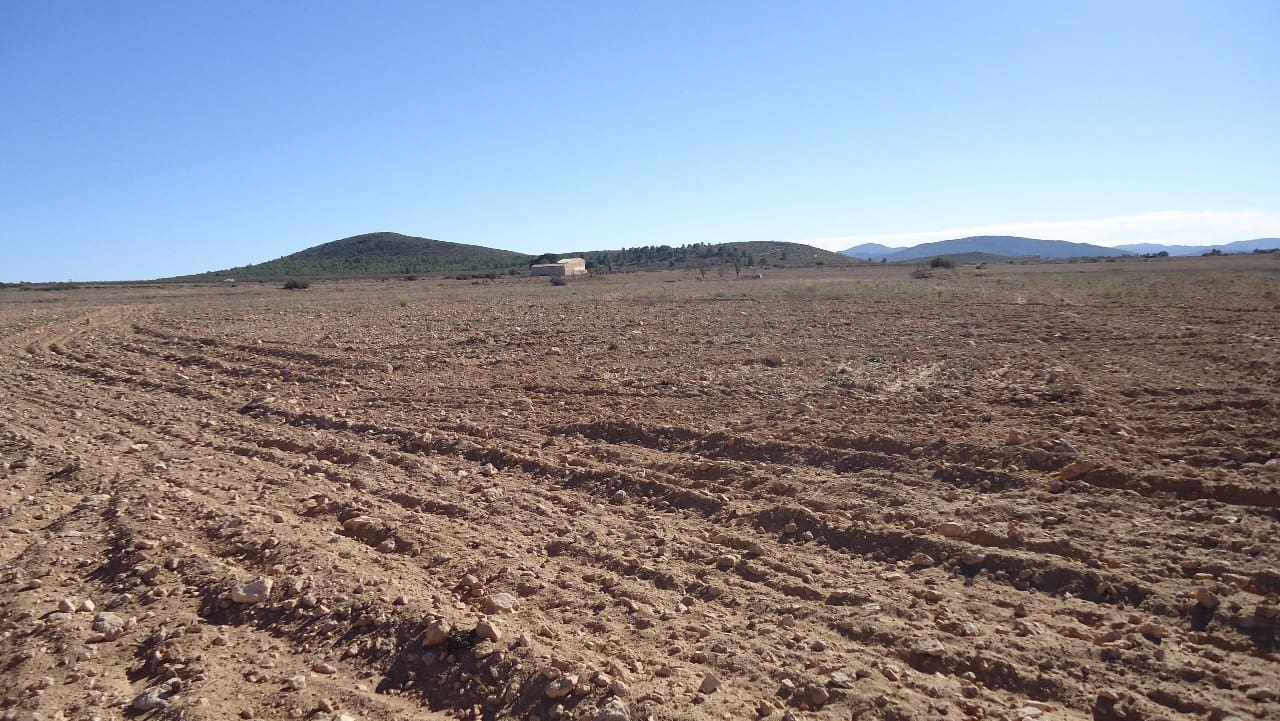 Terre non Aménagée à vendre à Yecla - 623 000 € (Ref: 9687229)