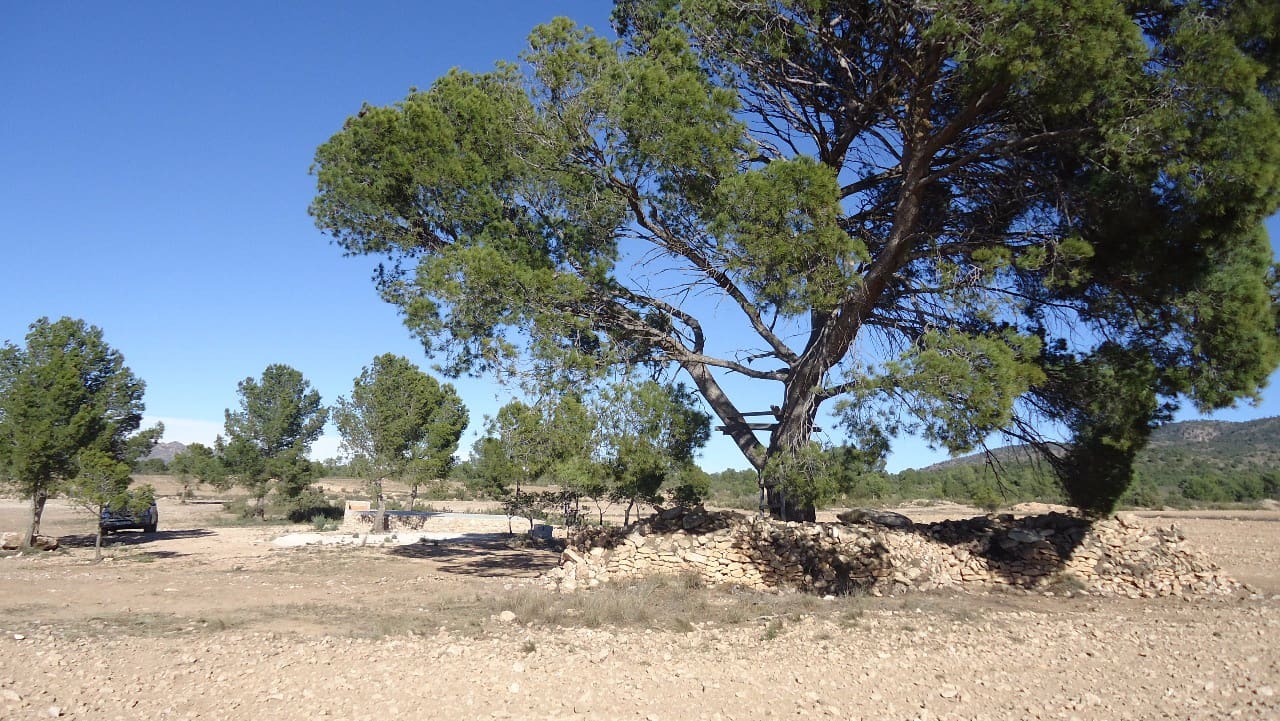 Terre non Aménagée à vendre à Yecla - 623 000 € (Ref: 9687229)