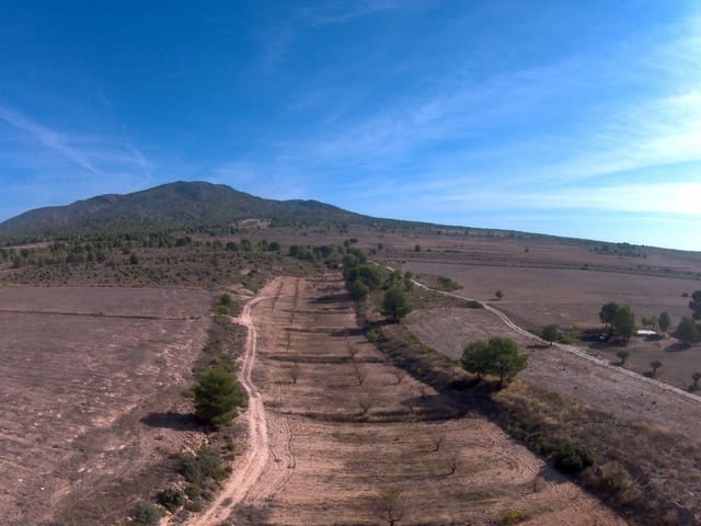 Terre non Aménagée à vendre à Yecla - 623 000 € (Ref: 9687229)