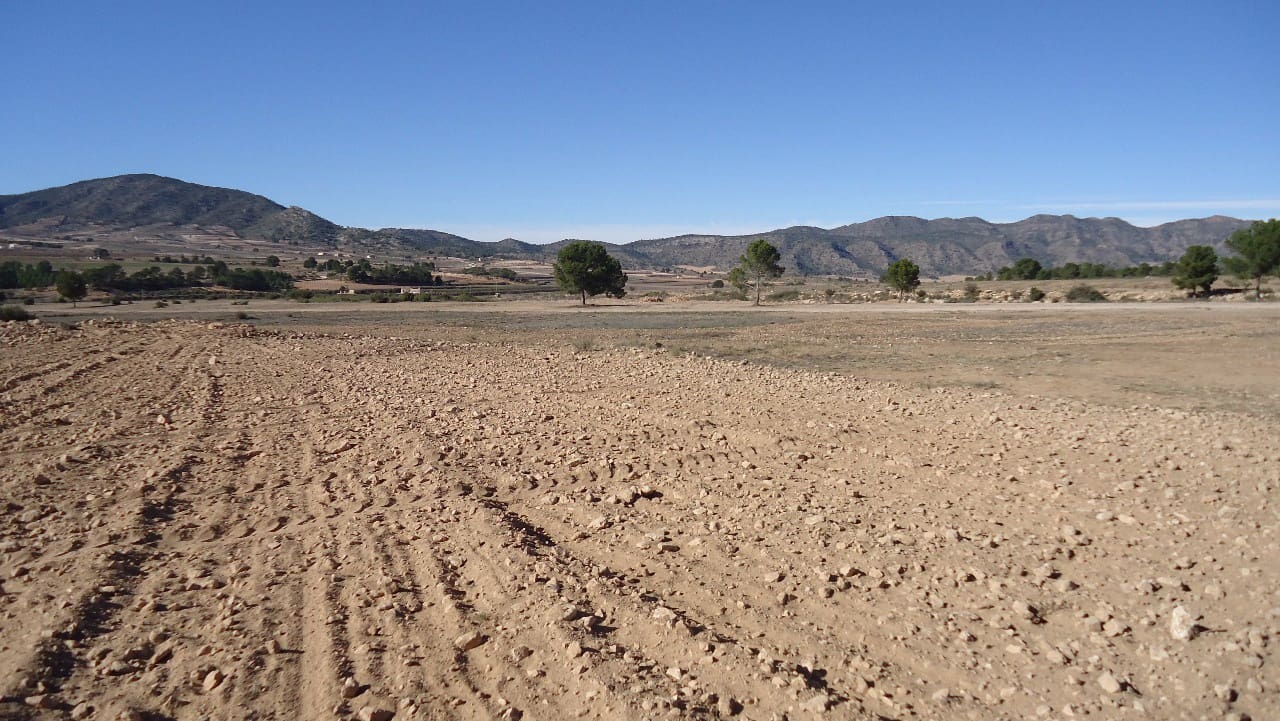 Terre non Aménagée à vendre à Yecla - 623 000 € (Ref: 9687229)