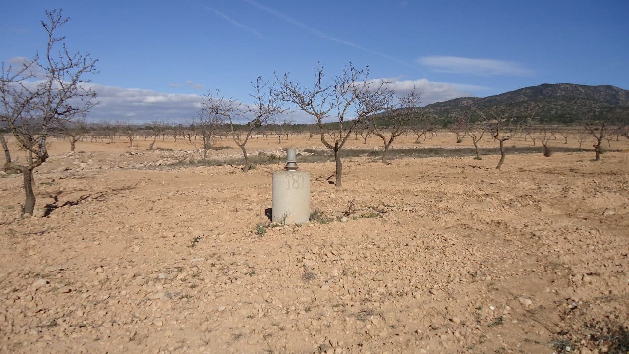 Terre non Aménagée à vendre à Yecla - 623 000 € (Ref: 9687229)