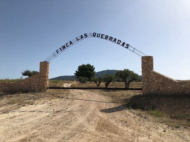 Terre non Aménagée à vendre à Yecla - 819 000 € (Ref: 9687229)