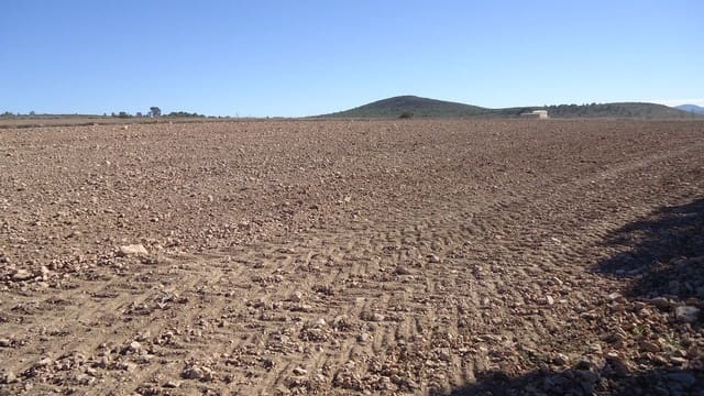 Terre non Aménagée à vendre à Yecla - 819 000 € (Ref: 9687229)