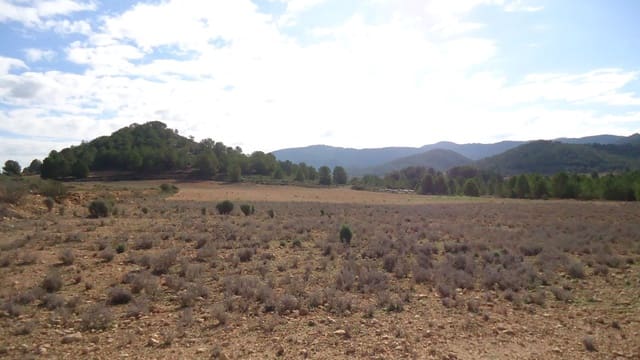 Undeveloped Land for sale in Monóvar / Monóver - € 102,995 (Ref: 9687230)