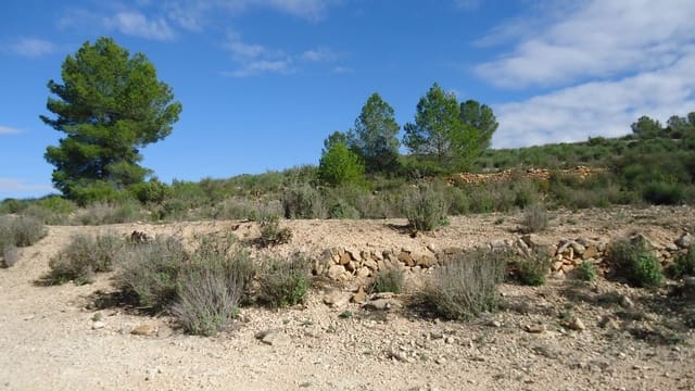 Undeveloped Land for sale in Monóvar / Monóver - € 102,995 (Ref: 9687230)