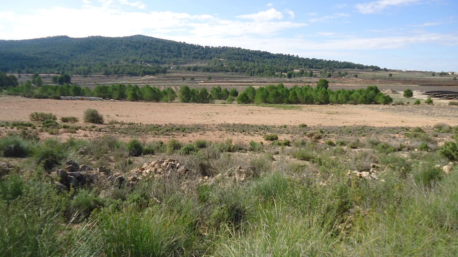 Undeveloped Land for sale in Monovar / Monover - € 102,995 (Ref: 9687230)