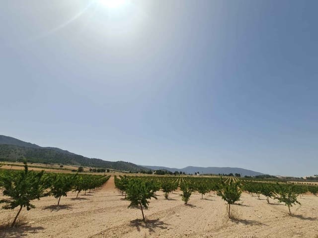 Grunde uden byggetilladelser til salg i Yecla - € 42.995 (Ref: 9687232)