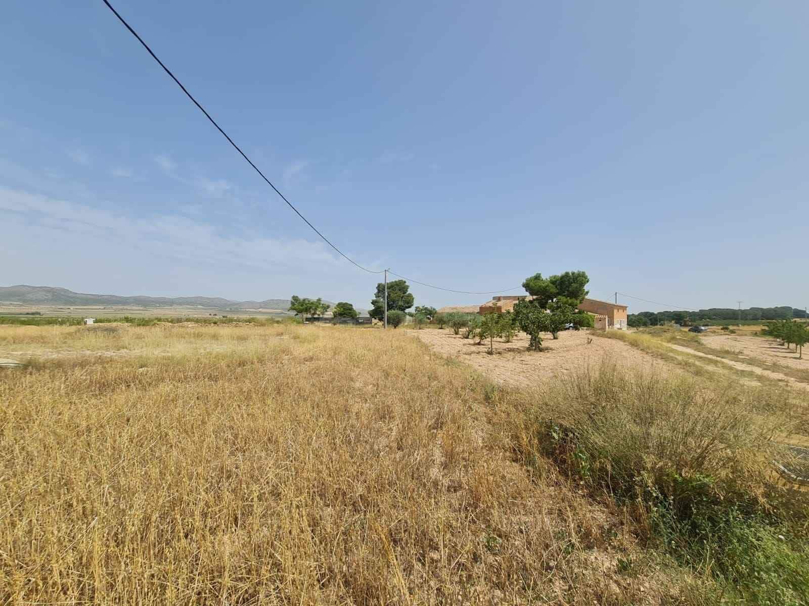 Grunde uden byggetilladelser til salg i Yecla - € 42.995 (Ref: 9687232)