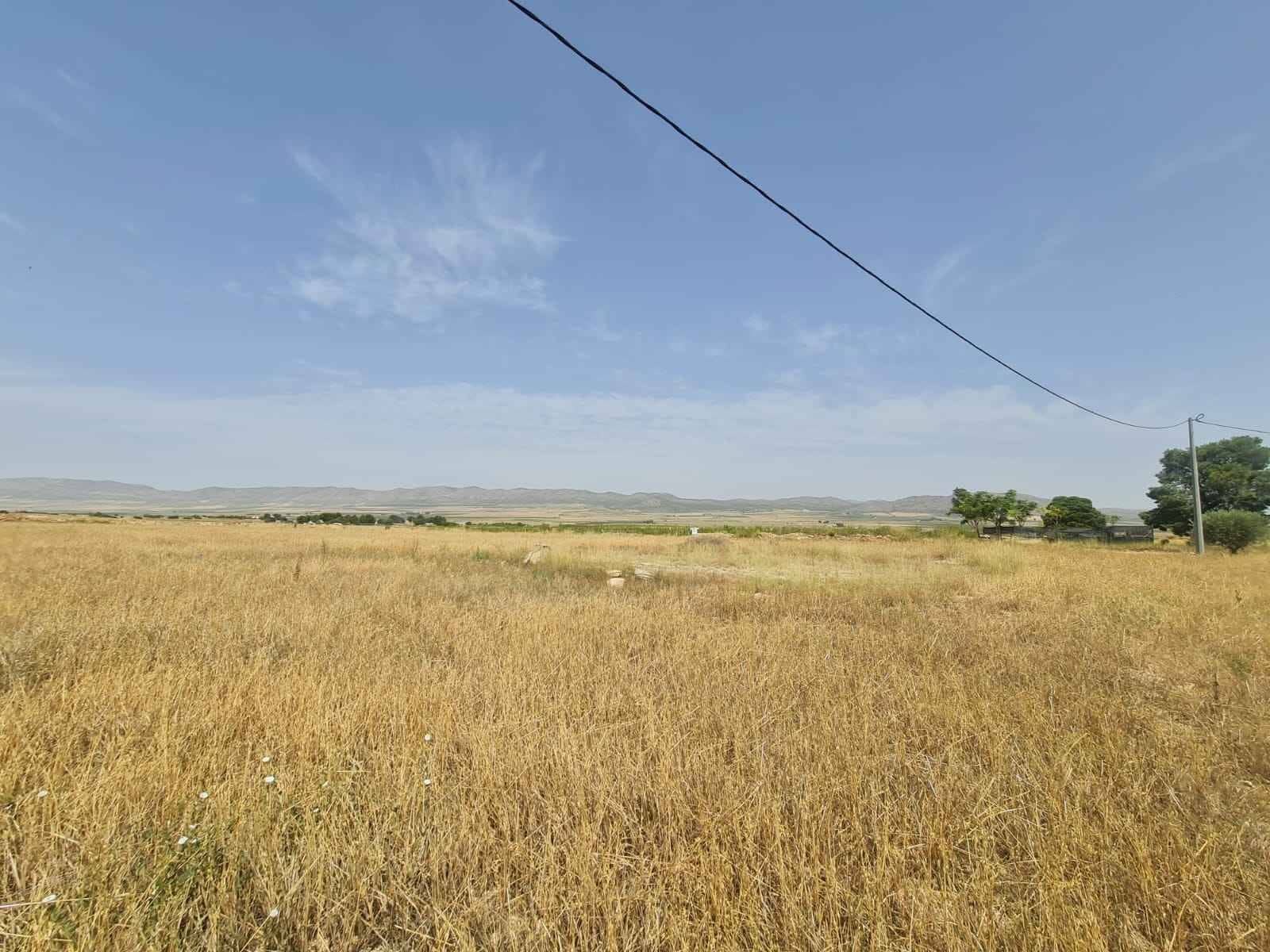 Landgrundstück zu verkaufen in Yecla - 42.995 € (Ref: 9687232)