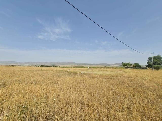 Terre non Aménagée à vendre à Yecla - 42 995 € (Ref: 9687232)