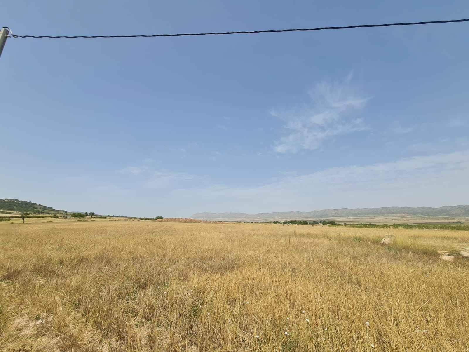 Landgrundstück zu verkaufen in Yecla - 42.995 € (Ref: 9687232)