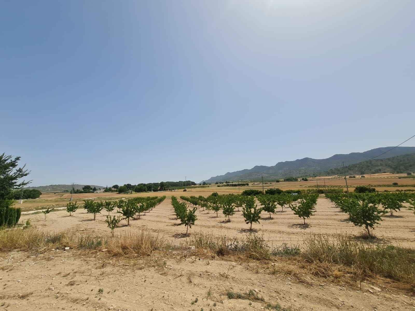 Landgrundstück zu verkaufen in Yecla - 42.995 € (Ref: 9687232)