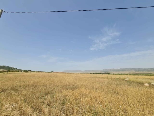 Terre non Aménagée à vendre à Yecla - 42 995 € (Ref: 9687232)