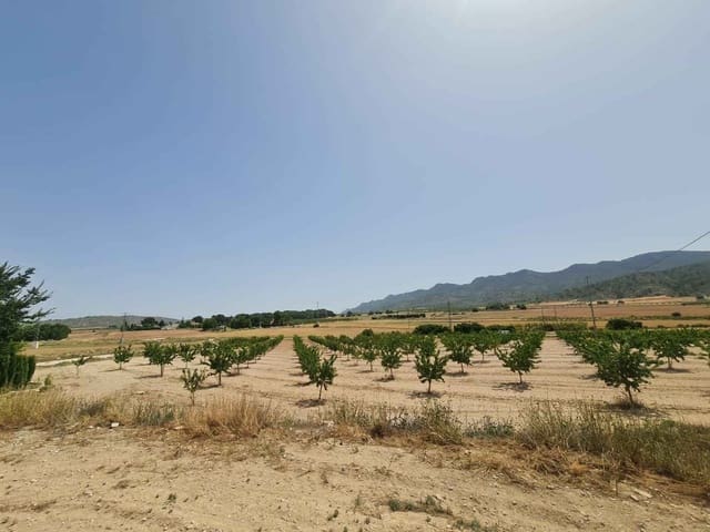 Terre non Aménagée à vendre à Yecla - 42 995 € (Ref: 9687232)