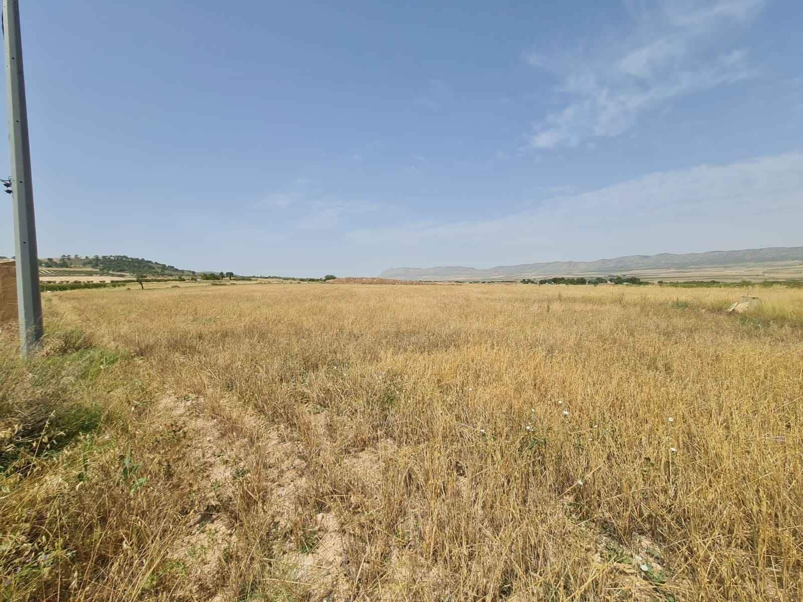 Landgrundstück zu verkaufen in Yecla - 42.995 € (Ref: 9687232)