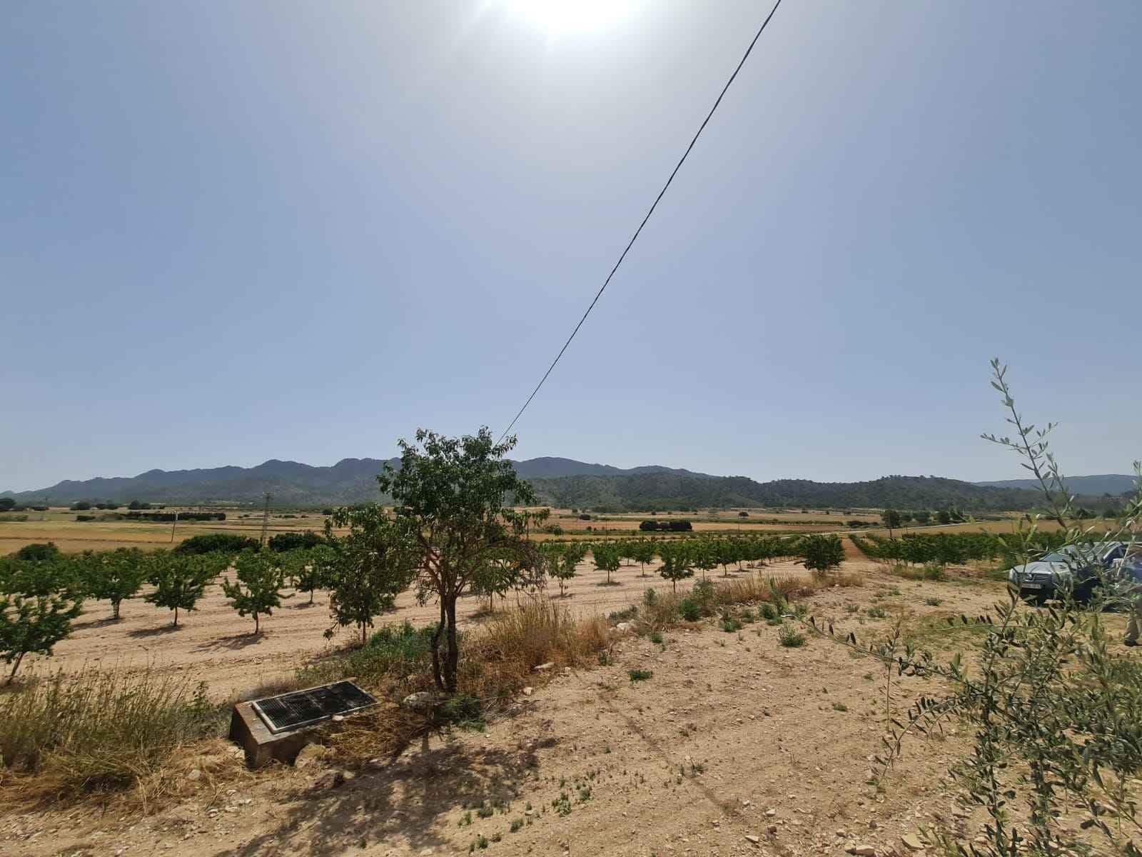 Landgrundstück zu verkaufen in Yecla - 42.995 € (Ref: 9687232)