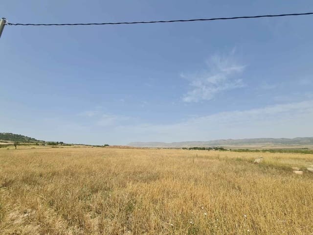 Teren niezagospodarowany na sprzedaż w Yecla - 42 995 € (Ref: 9687232)