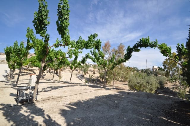 Local Comercial de 4 habitaciones en Abanilla en venta con piscina garaje - 2.799.995 € (Ref: 9687233)