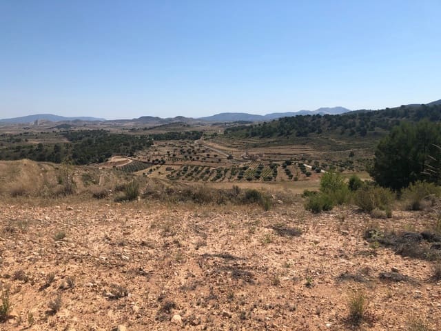 Undeveloped Land for sale in La Zarza - € 59,900 (Ref: 9687236)