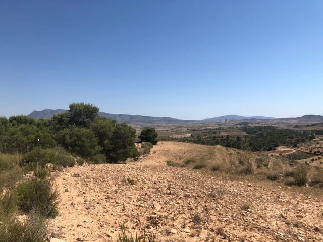 Terre non Aménagée à vendre à La Zarza, Jumilla - 59 900 € (Ref: 9687236)